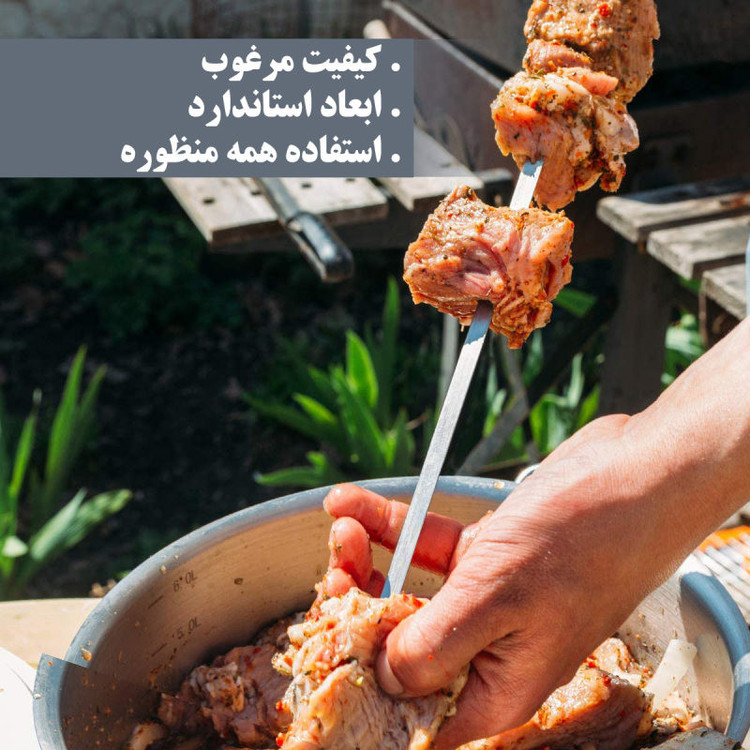سیخ جوجه مدل پیک نیک