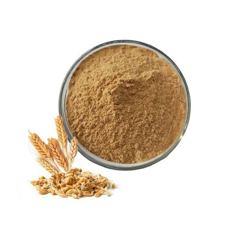 پودر جوانه گندم محلی خاتون - 500 گرم